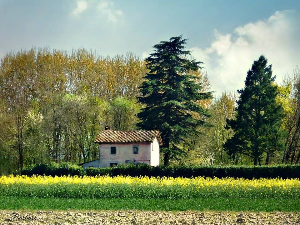 titolo immagine