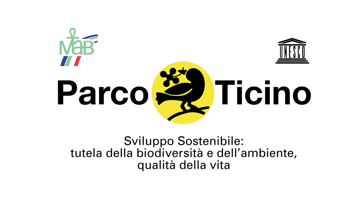 titolo immagine