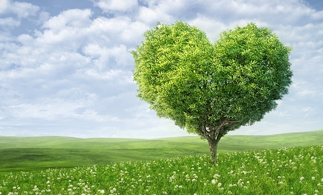 Piattaforma ecologica di Montebellino
