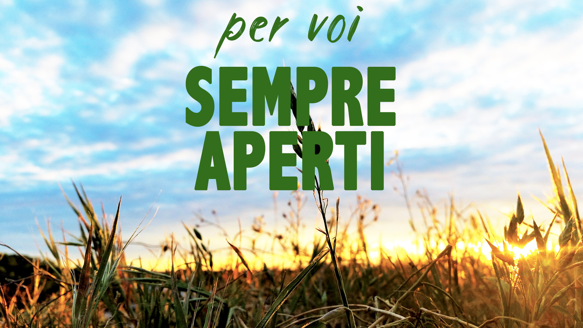 Ferie e info utili